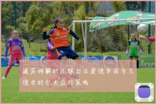 道苏姆解析无球打法爱德华兹与兰德尔的包夹应对策略