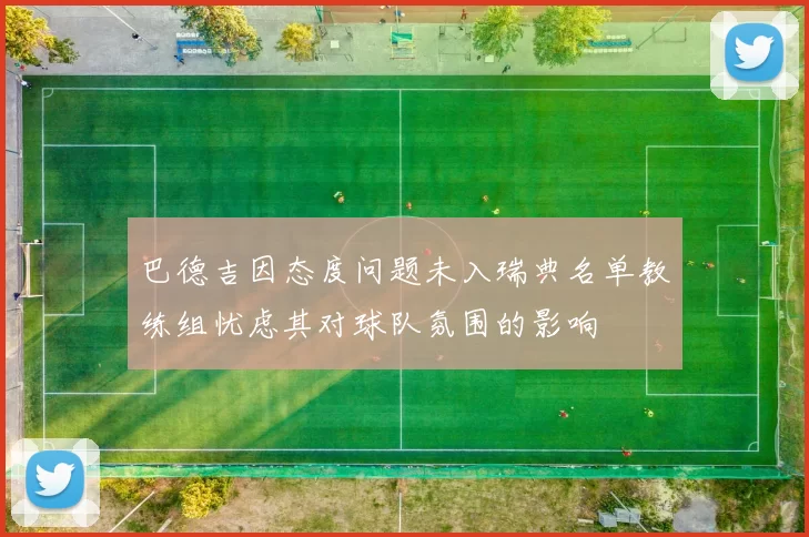 巴德吉因态度问题未入瑞典名单教练组忧虑其对球队氛围的影响